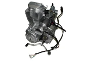 silnik-kompletny-cg-150-cylinder-stojacy-power-force_3.webp